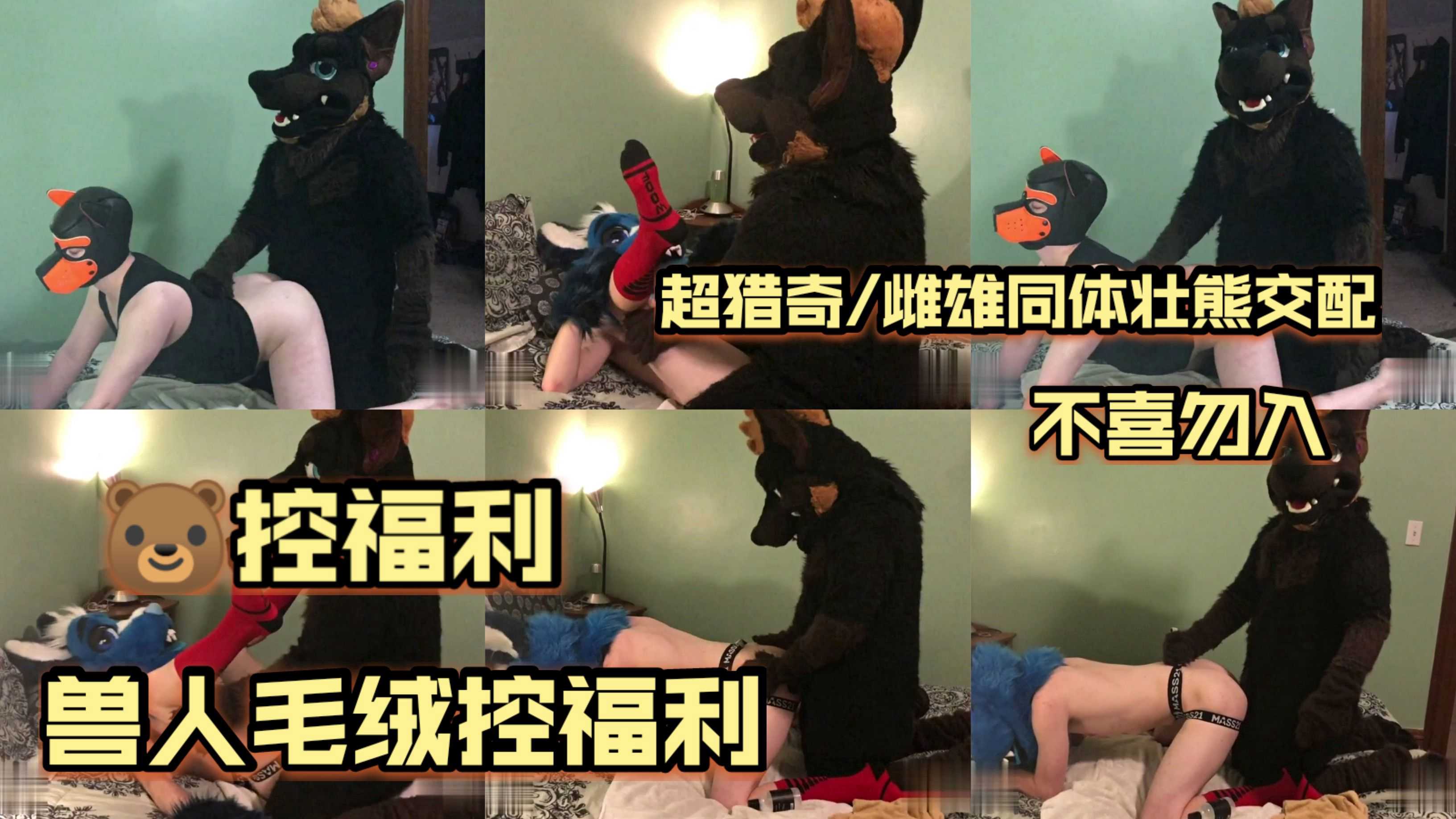 超獵奇/雌雄同體壯熊交配/熊控福利/人獸毛絨控福利（免費不喜勿入）