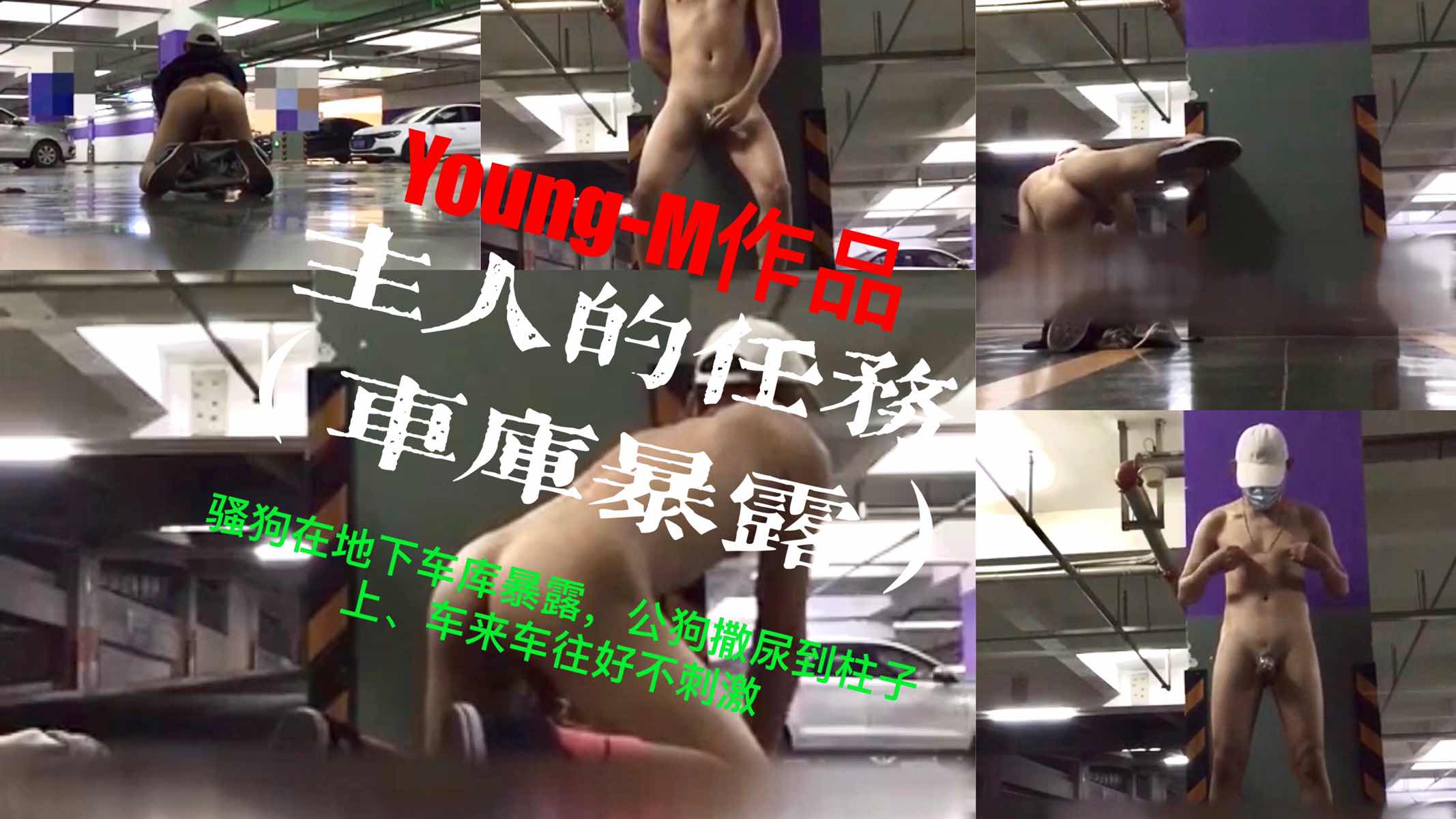 【免費】Young-M完成主人任務，車庫暴露，公狗尿柱子，車來車往好不刺激